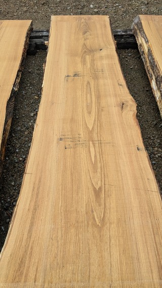 PXL_20260113_235410380