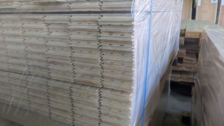 PXL_20260109_020442848