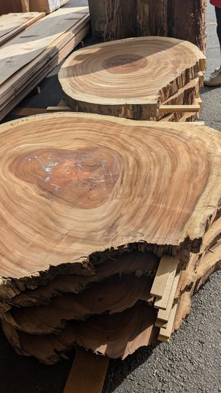 PXL_20260220_054237872~2