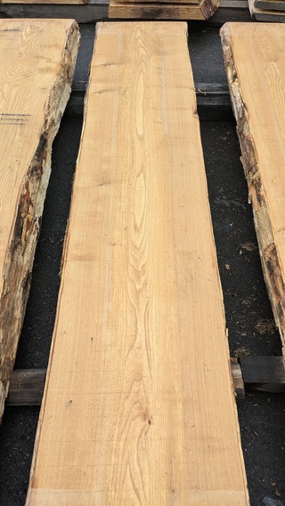 PXL_20260113_235214354