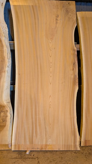 PXL_20260211_021654431~2