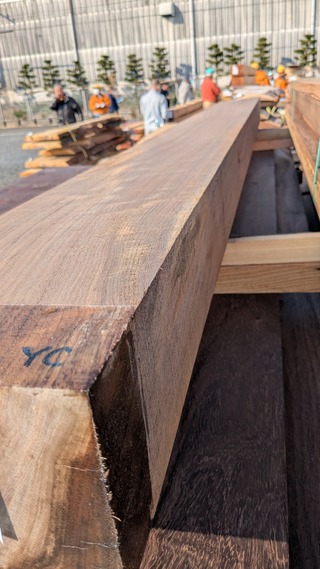 PXL_20260212_003254889