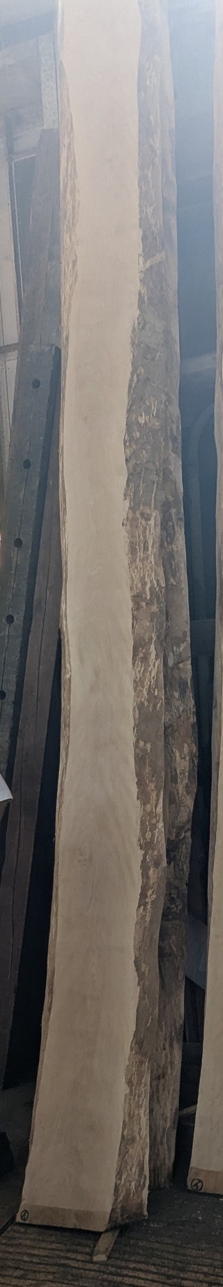 PXL_20260716_052242028~2