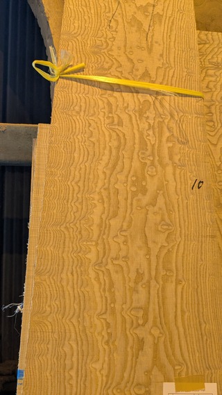 PXL_20260211_021625755