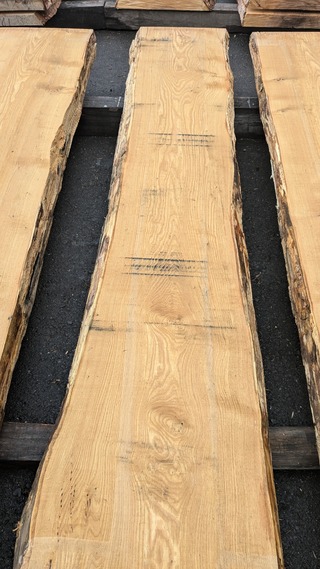 PXL_20260113_235219819