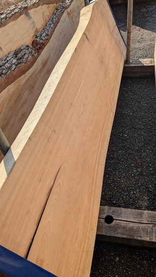 PXL_20260212_010013724