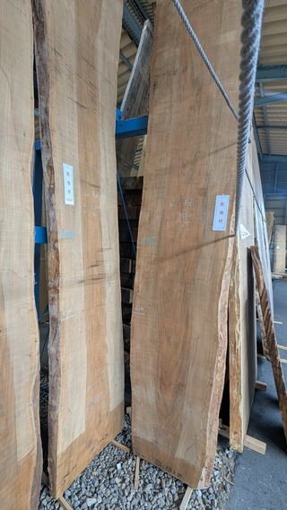 PXL_20260220_043601431~2