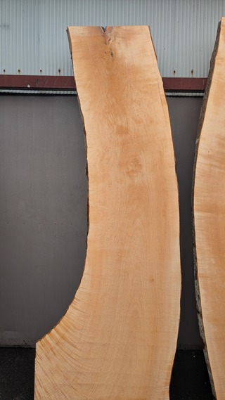 PXL_20260211_021823683~2