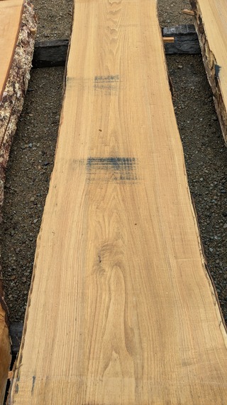 PXL_20260113_235457860