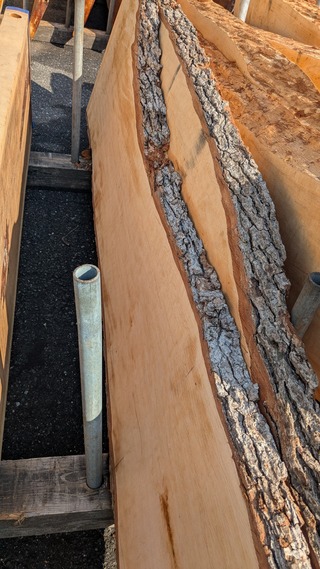 PXL_20260212_005940301