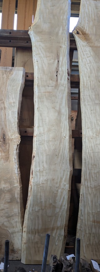 PXL_20251218_052151620~2