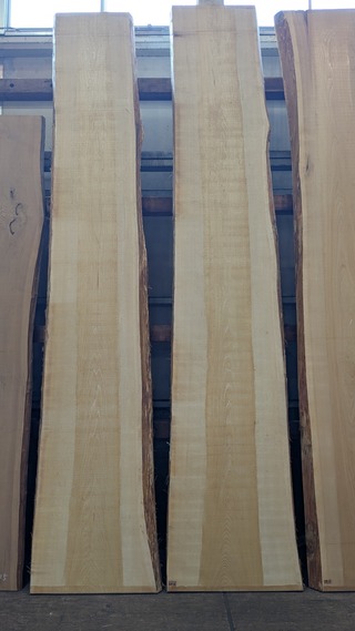 PXL_20260212_025207266~2