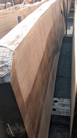 PXL_20260212_010206098