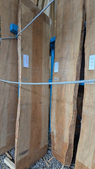 PXL_20260220_043553118~2