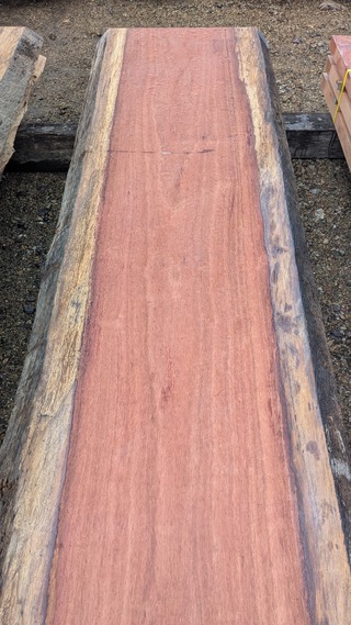 PXL_20260113_235538928