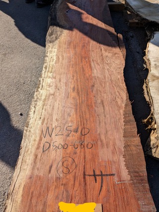 MP~2