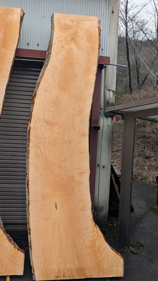 PXL_20260211_021832454~2