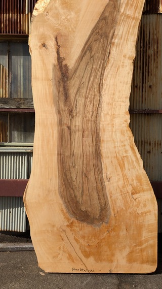 PXL_20260114_025328952~2