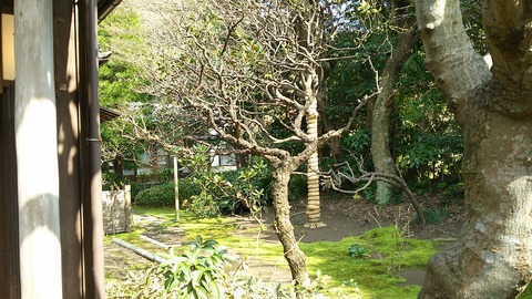 去来庵 北鎌倉 4