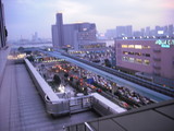お台場を臨む
