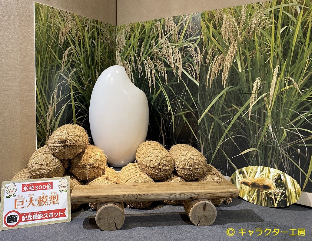 琵琶湖 立体