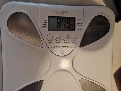 260804071543341