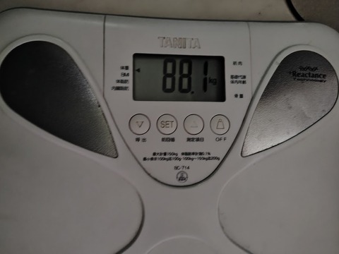 260608081851328