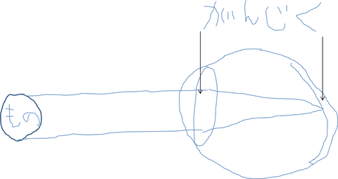 図3