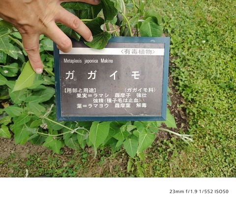 260708091251992
