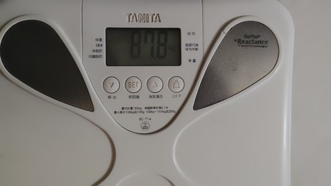 260830094342243