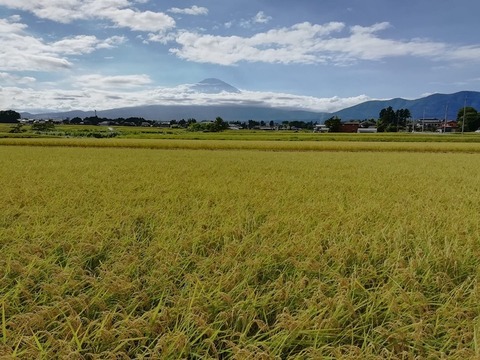 69842648_699508043809639_9058676452123213824_n