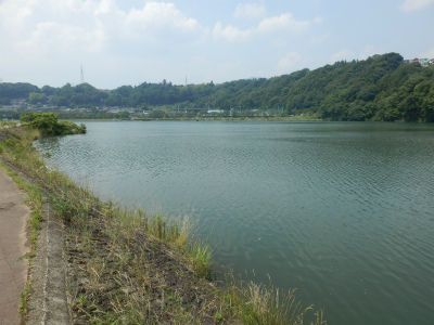 イメージ 1