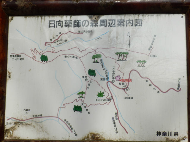 イメージ 4