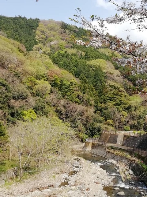 91905712_862601560833619_9055675494048989184_n