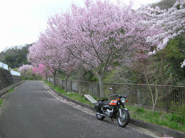 イメージ 4