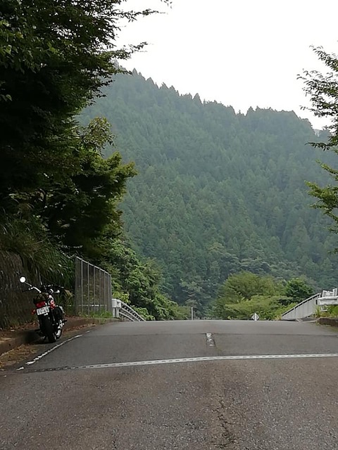 69734533_698090827284694_6121193789760471040_n