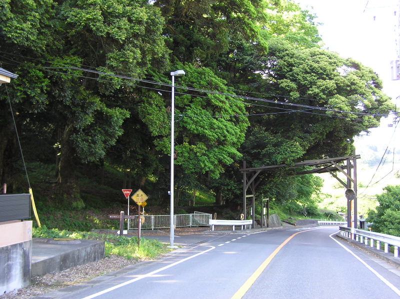 イメージ 11