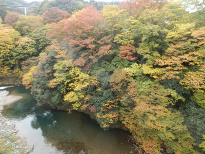 イメージ 5