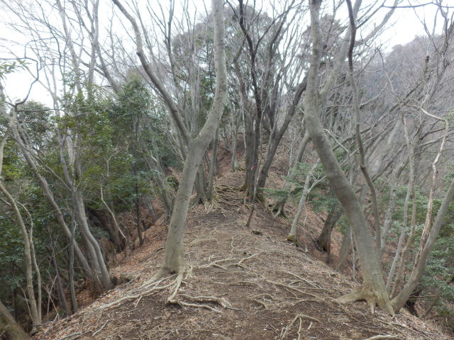 イメージ 12