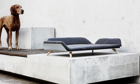 LettoDog-Bed-1-new