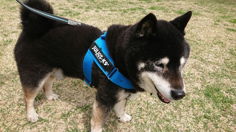 DSCPDC_0000_BURST20210404110408182