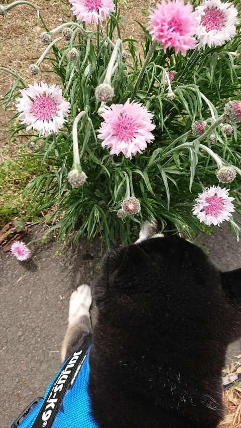 DSCPDC_0000_BURST20210404111648312