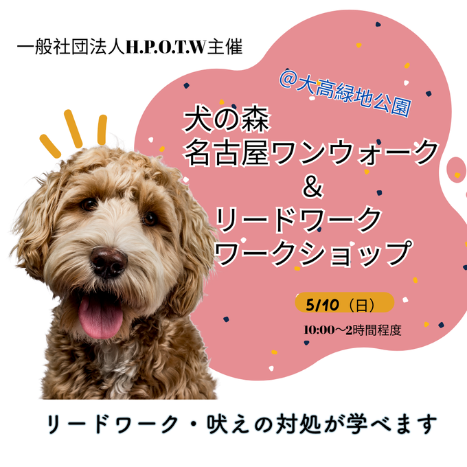 インスタ名古屋散トレ