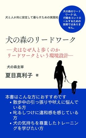青　シンプル　ビジネス書　電子書籍　表紙　キンドル (1)