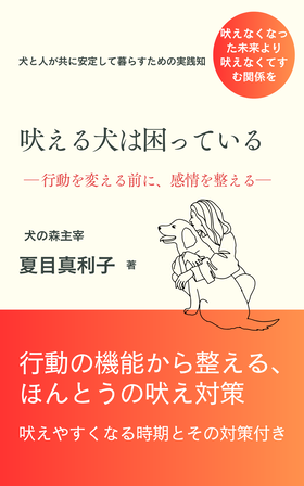 青　シンプル　ビジネス書　電子書籍　表紙　キンドル (11)