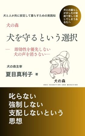青　シンプル　ビジネス書　電子書籍　表紙　キンドル (1)