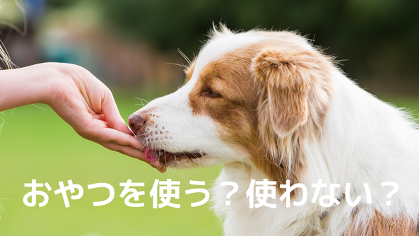 おやつを使う?使わない?