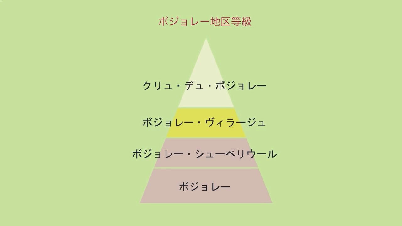 ちゃ～さんのワインを知ったかぶる日記                ちゃ~さん