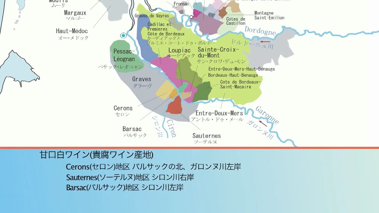 2 ボルドー地方 ちゃ さんのワインを知ったかぶる日記