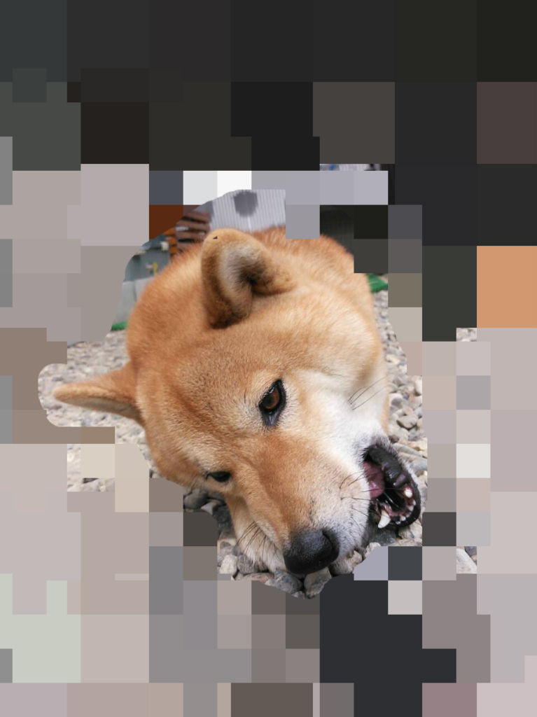 柴犬の原点とは山犬であり狼であり 気高きry しばいぬ日和 柴犬の原点とは山犬であり狼であり 気高きry しばいぬ日和